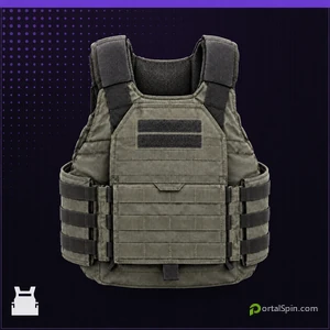 2-Plate Ballistic Gel Vest icon in MW4 DMZ.