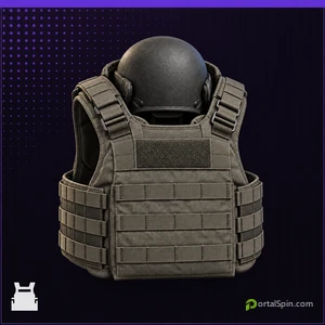 2-Plate Helmet Armor Vest icon in MW4 DMZ.
