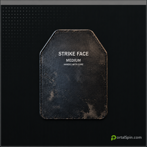 Common Armor Plate icon in MW4 DMZ