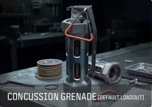 Official MW4 Concussion Grenade artwork, also called Stun Grenade.