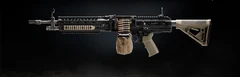 FiNN LMG — official weapon reference