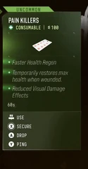 Pain Killers — in-game inventory tooltip