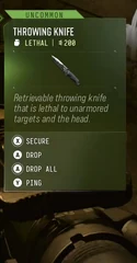 Throwing Knife — in-game inventory tooltip