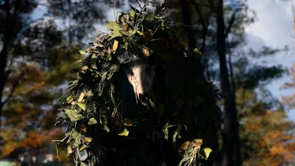 Gorani skull mask and foliage in official footage in MW4 DMZ