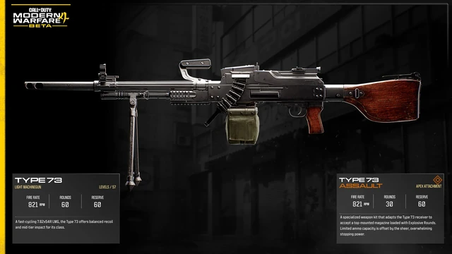 Type 73 full official MW4 Beta weapon sheet